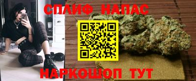 стаф Белореченск