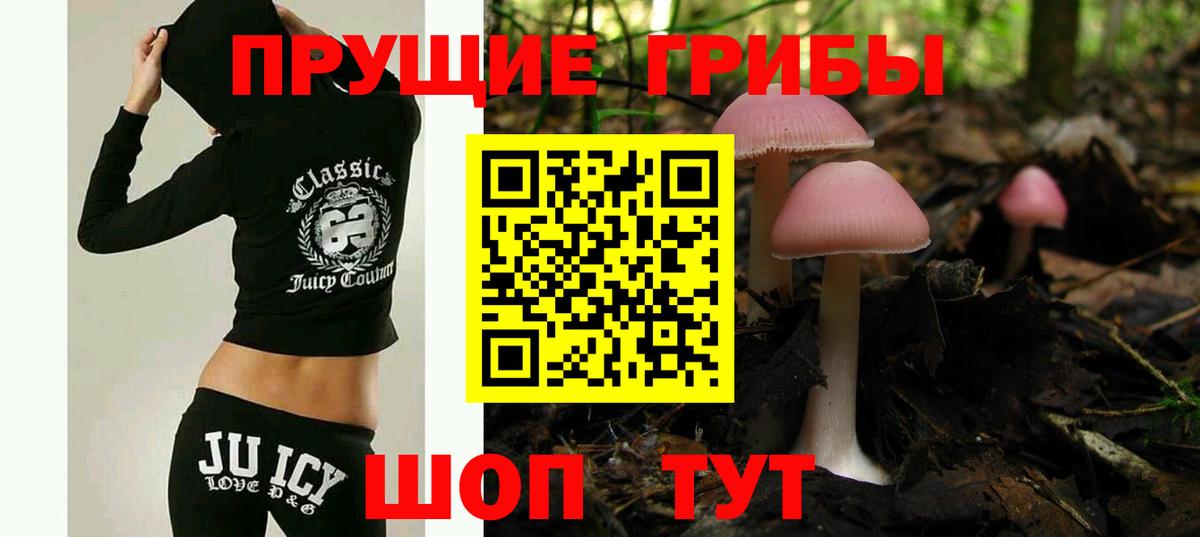Псилоцибиновые грибы MAGIC MUSHROOMS  Вход с VPN  Батайск 
