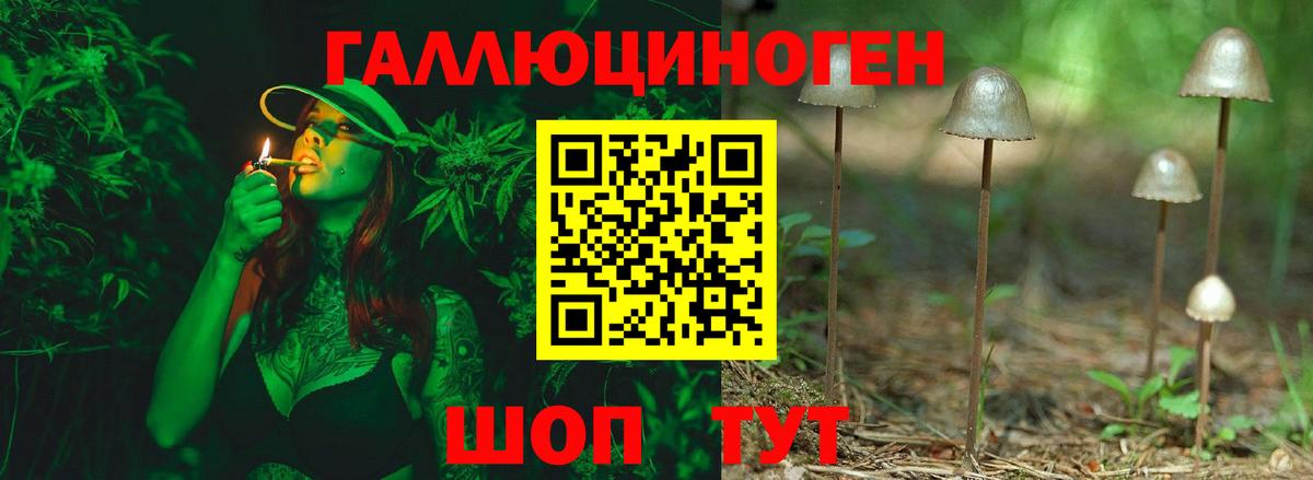 Псилоцибиновые грибы мухоморы Батайск